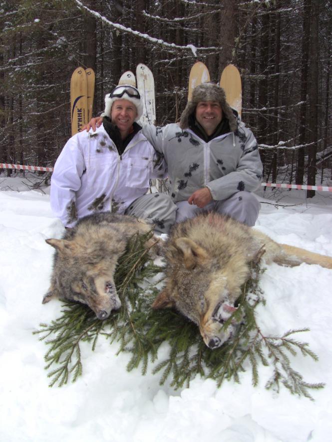 The results of wolf hunting 2019