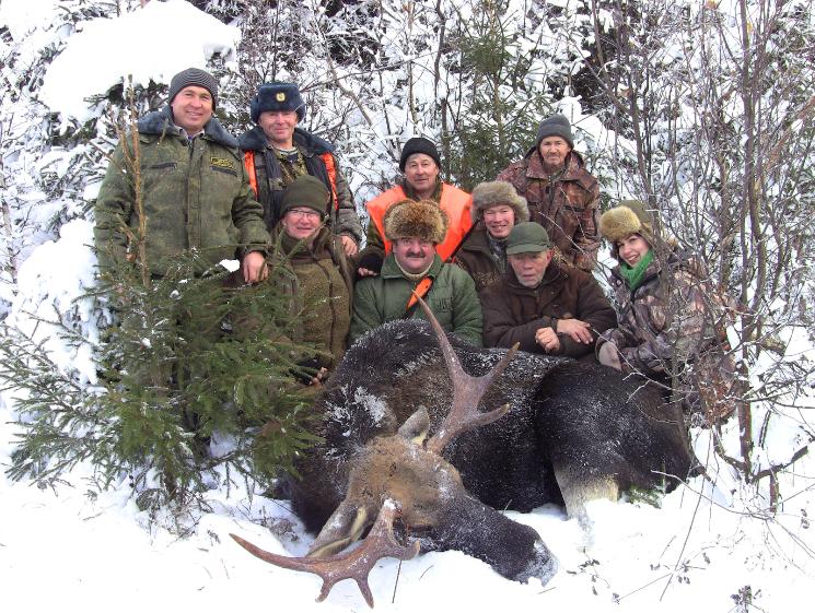 Winter battue hunting on elk and wild boar 2016