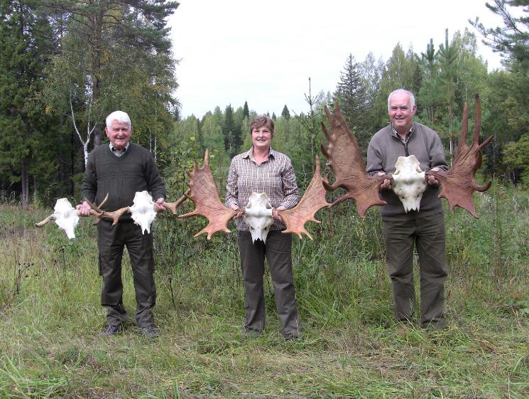 Результаты охоты на лося "на реву" 2011г.
