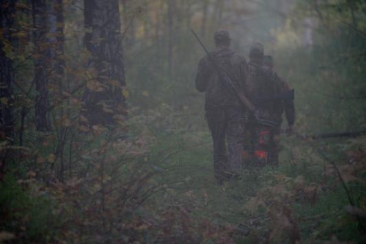 Elk, bear and wild boar hunt 2019