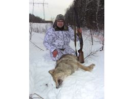 Охота на волка, февраль 2020 (перевод с немецкого)
