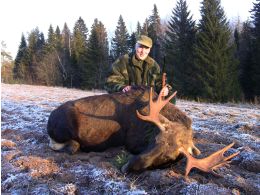 Video feed backs about elk battue 2018