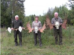 Результаты охоты на лося "на реву" 2011г.